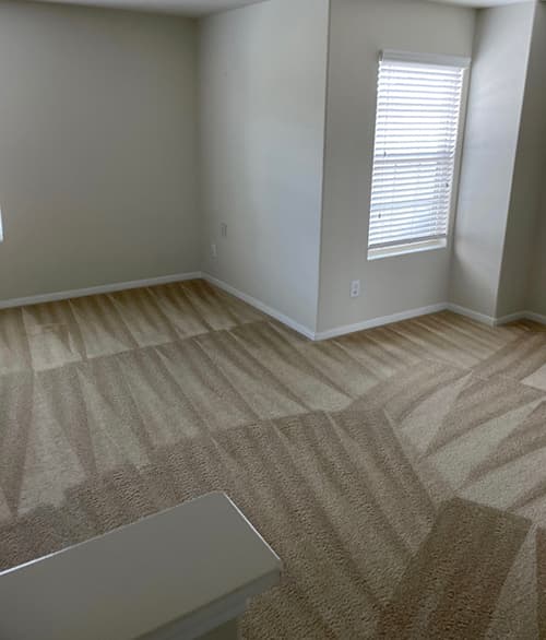 Before and after carpet cleaning result