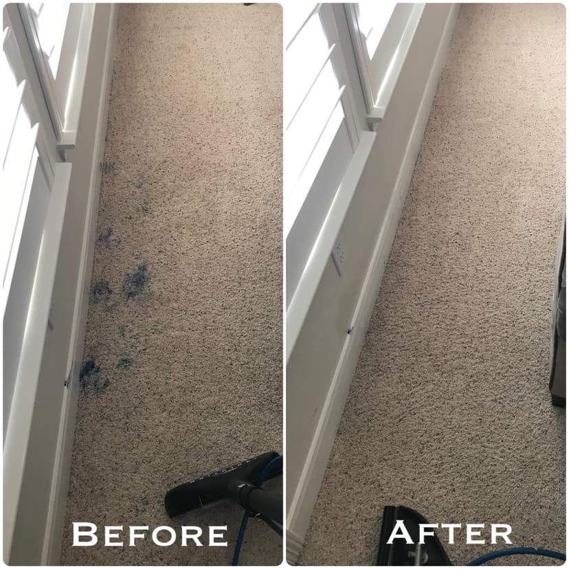 Before and after carpet cleaning result