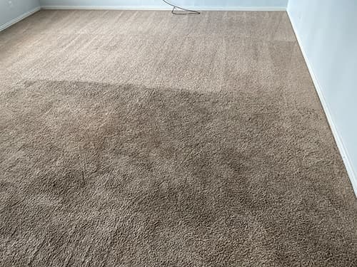 Before and after carpet cleaning result